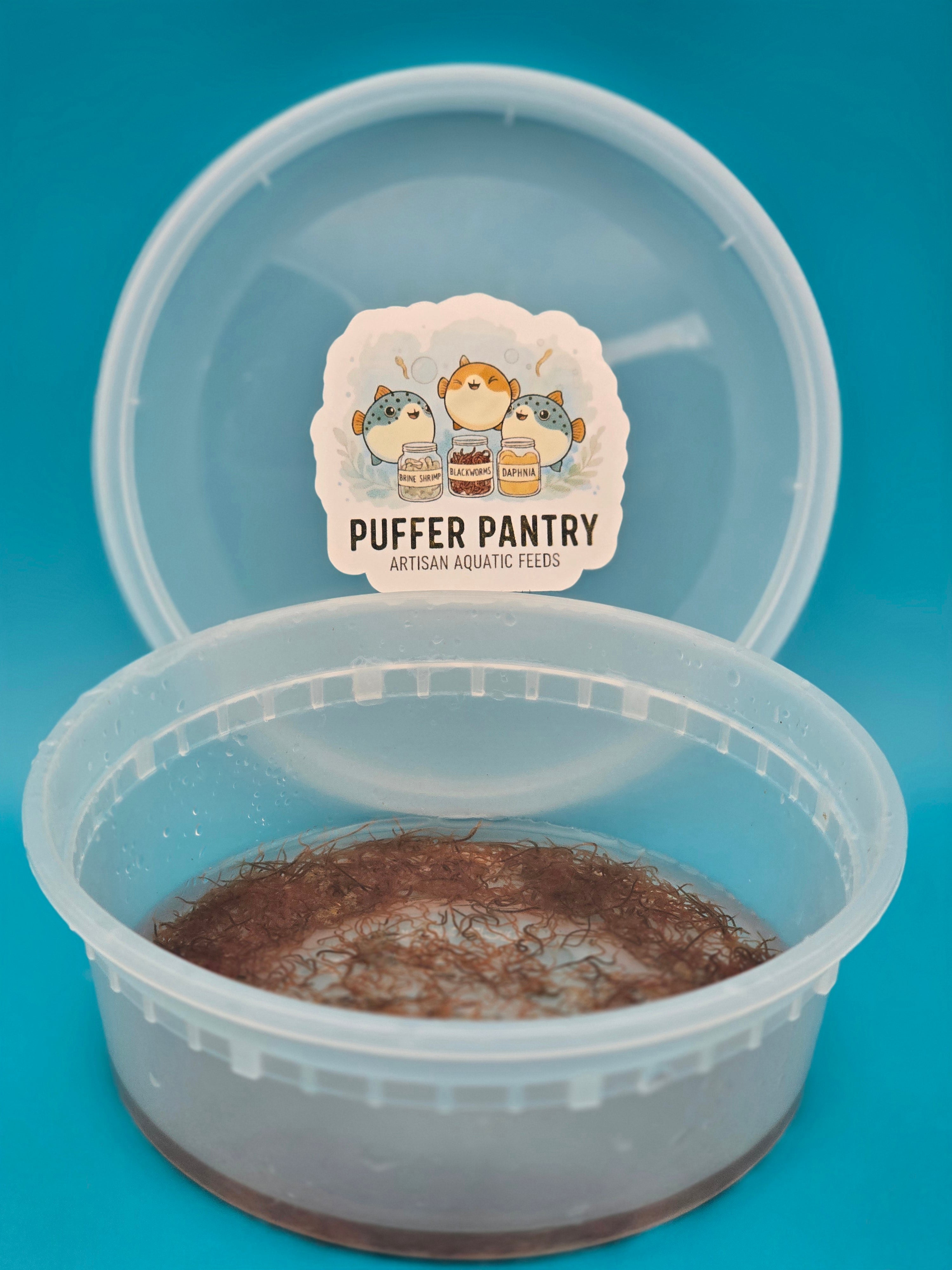 Live Blackworms - Fresh Aquatic Fish Food