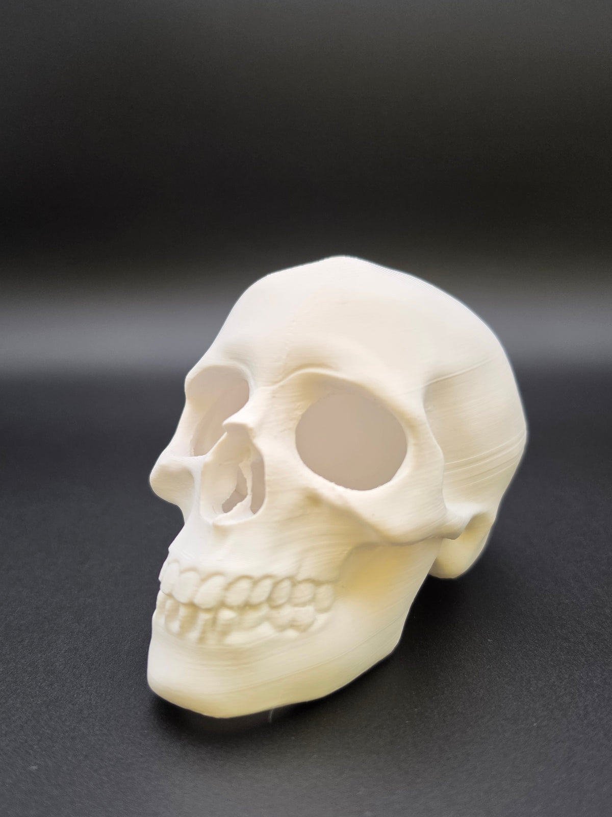 The Sunken Skull