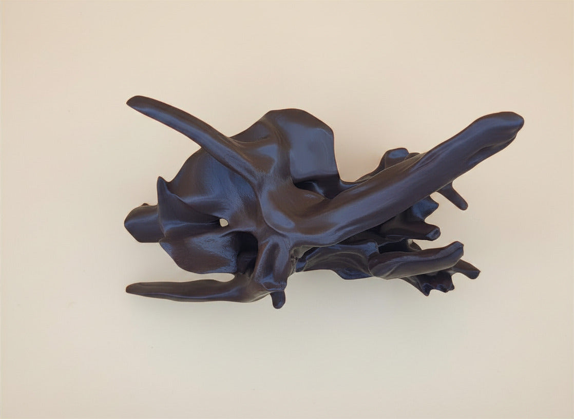 Chaos Root Driftwood