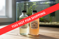 Infusoria & Vinegar Eels Starter Bundle