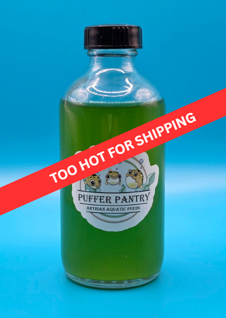 Live Phytoplankton Blend (50/50)