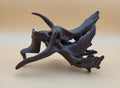 Chaos Root Driftwood