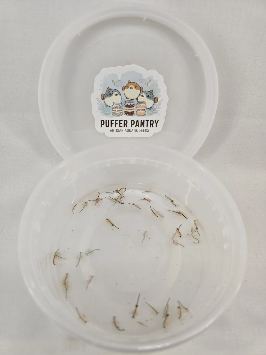 Adult Brine Shrimp Culture – Artemia – Fish Food