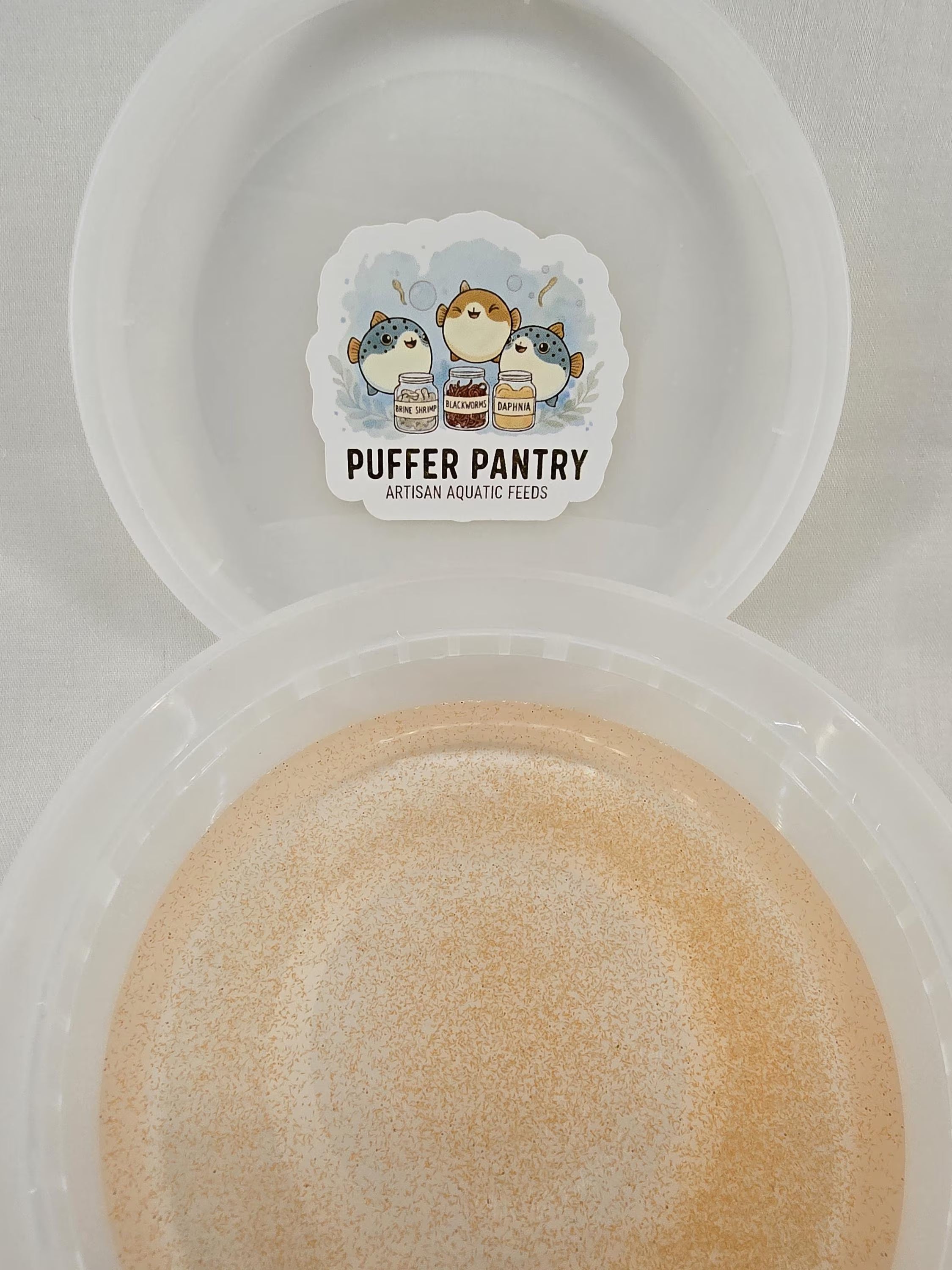 Brine Shrimp Culture– Baby and Juvenile Fry Food, Puffer and Nano Fish