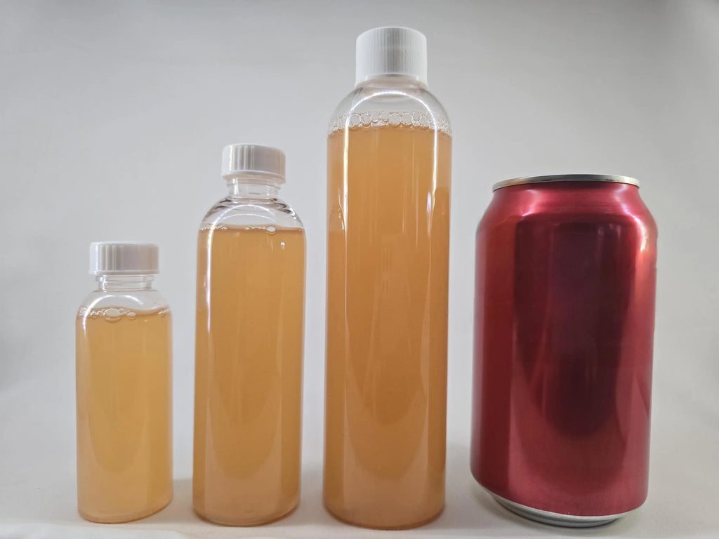 Vinegar Eels • Fry Food • Self‑Sustaining Culture • Small‑Batch & Solar‑Farmed