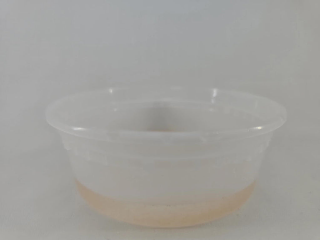 Brine Shrimp Culture– Baby and Juvenile Fry Food, Puffer and Nano Fish