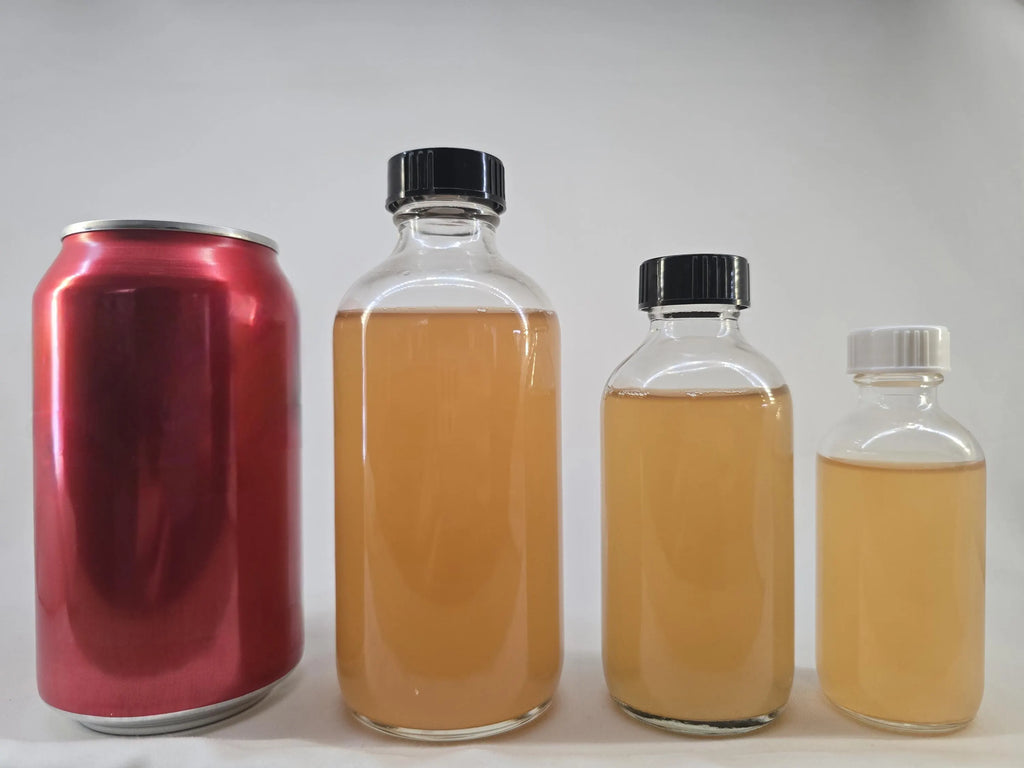 Vinegar Eels • Fry Food • Self‑Sustaining Culture • Small‑Batch & Solar‑Farmed