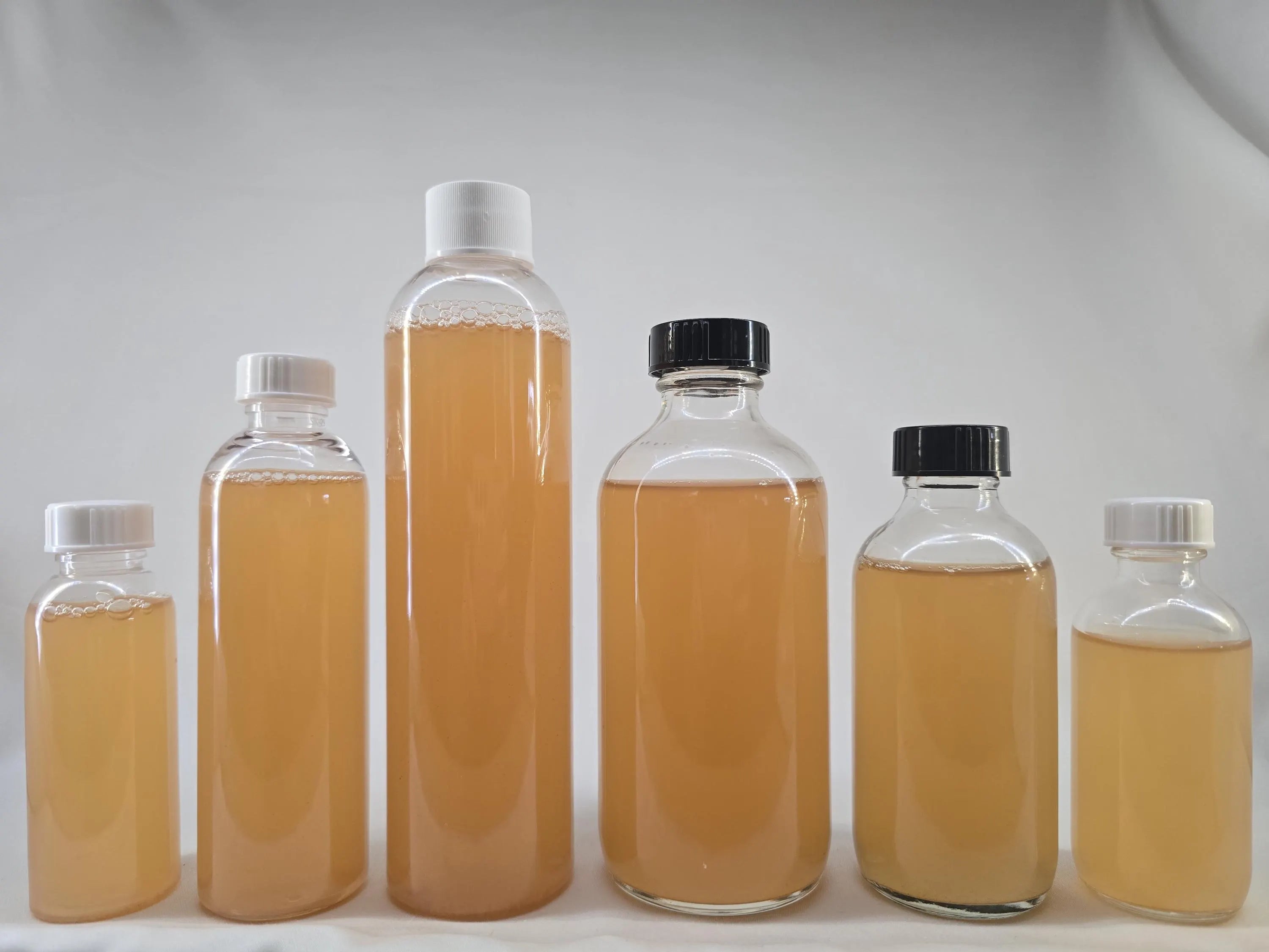 Vinegar Eels • Fry Food • Self‑Sustaining Culture • Small‑Batch & Solar‑Farmed