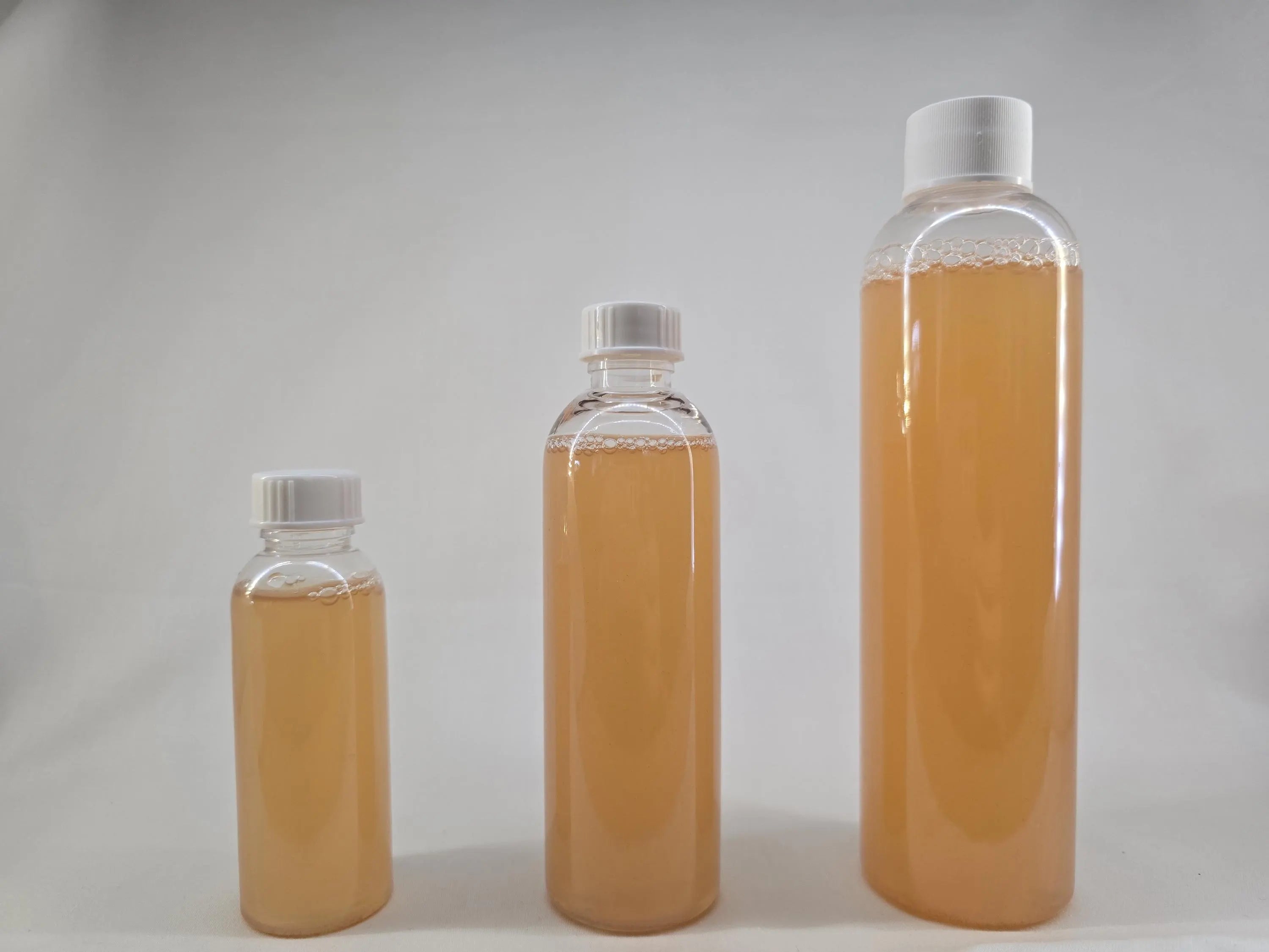 Vinegar Eels • Fry Food • Self‑Sustaining Culture • Small‑Batch & Solar‑Farmed