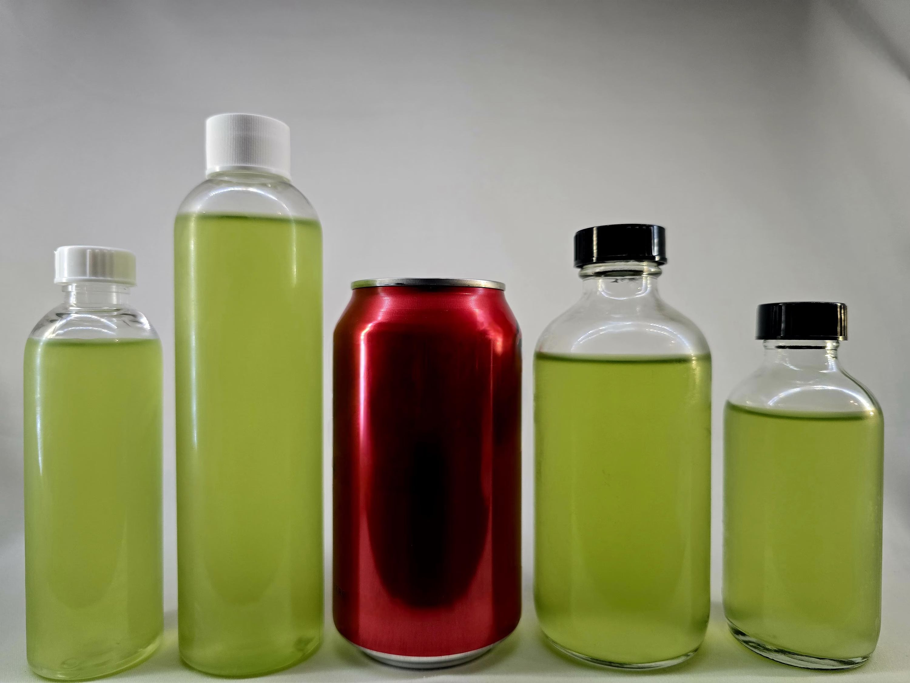 Chlorella Phytoplankton – Solar Farmed Fresh Green Water Culture – Aquarium Live Microalgae