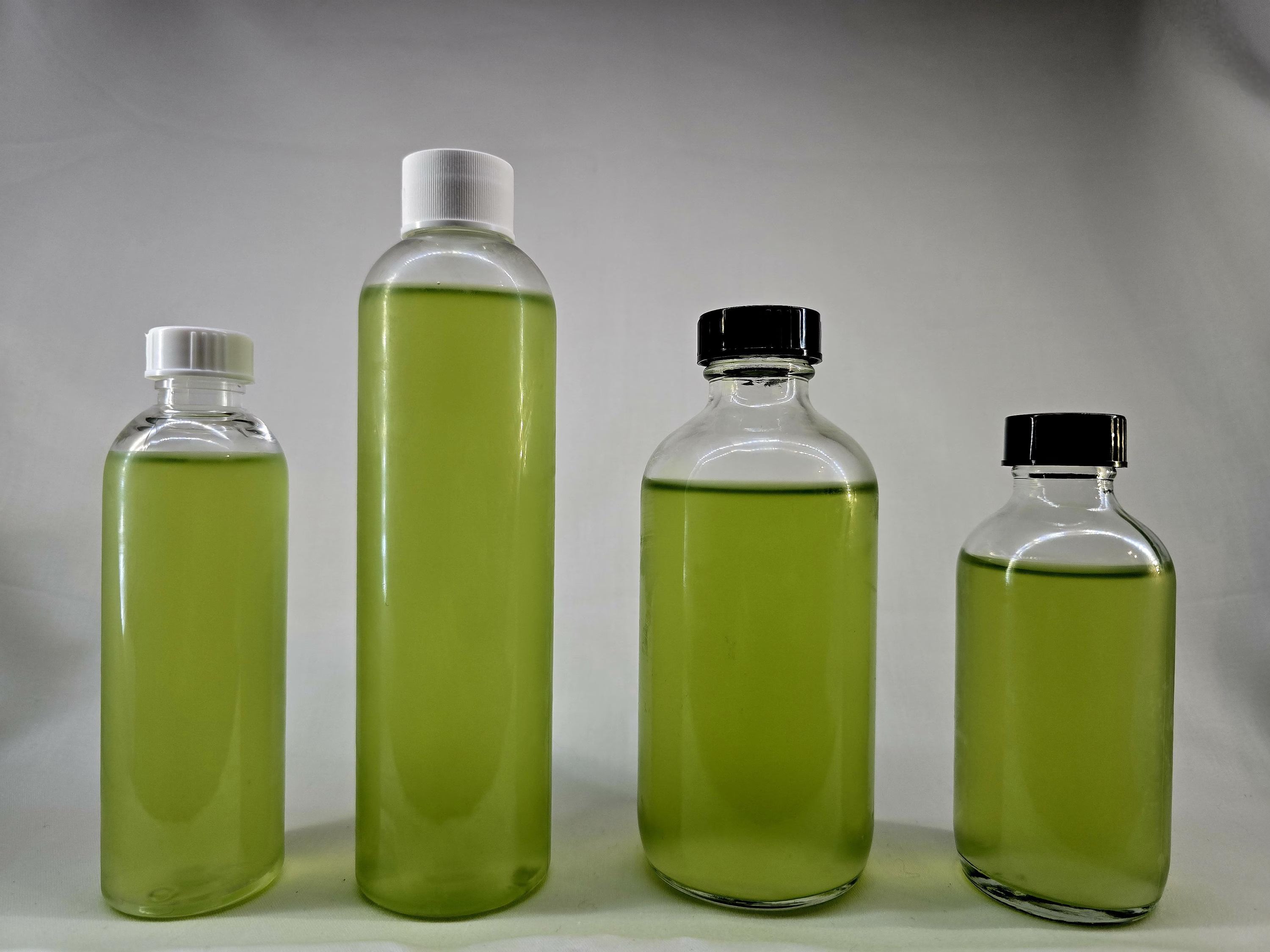 Chlorella Phytoplankton – Solar Farmed Fresh Green Water Culture – Aquarium Live Microalgae