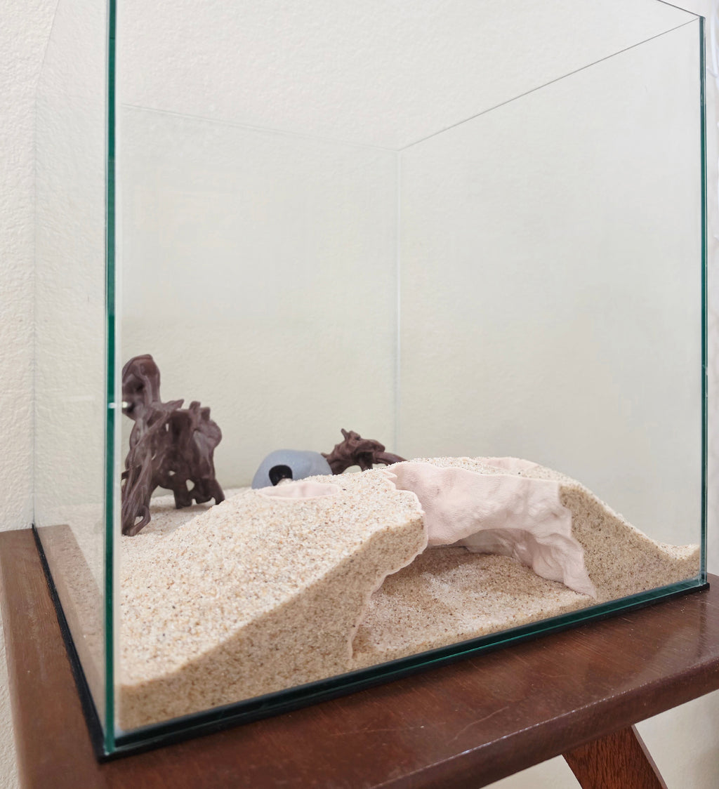 Kraken Cave