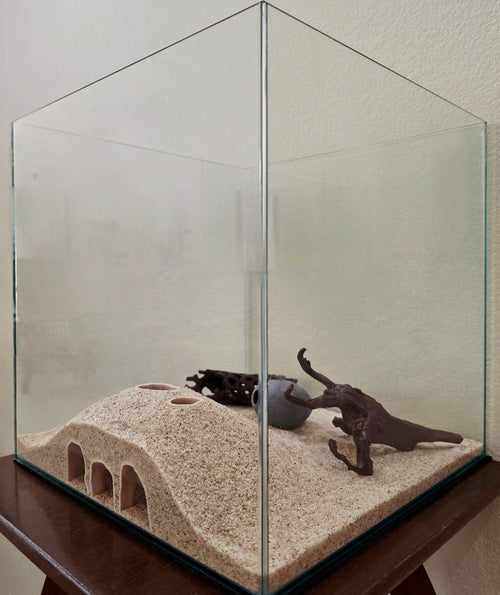 Cerberus Cave