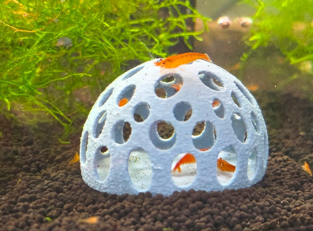 The Hideout Dome