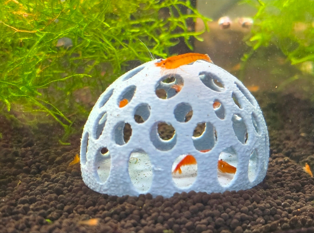 The Hideout Dome