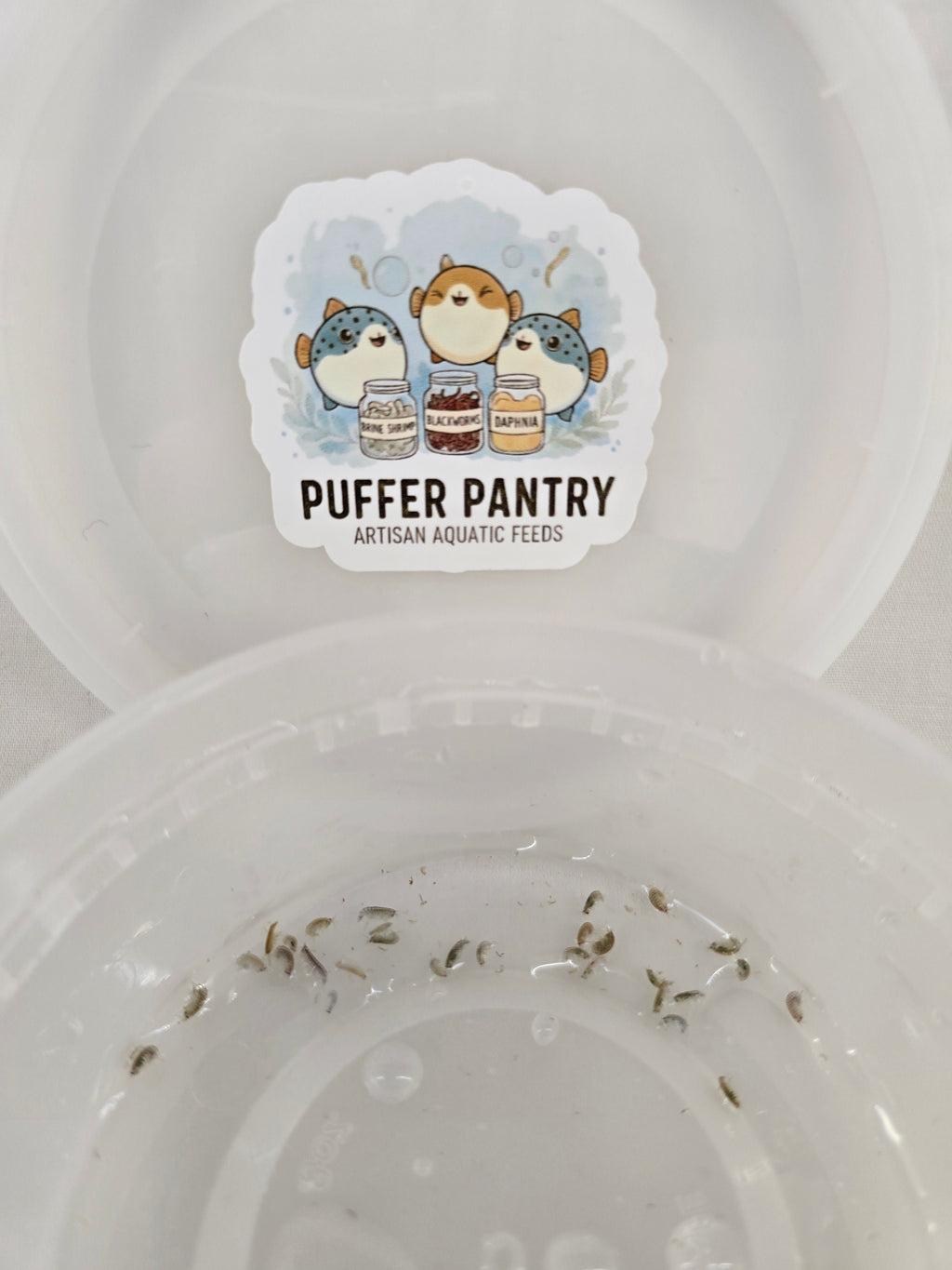 Live Scuds (Gammarus) - Fish Food & Clean Up Crew