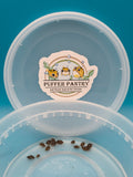 Live Bladder Snails - Pea Puffer Food & Clean Up Crew