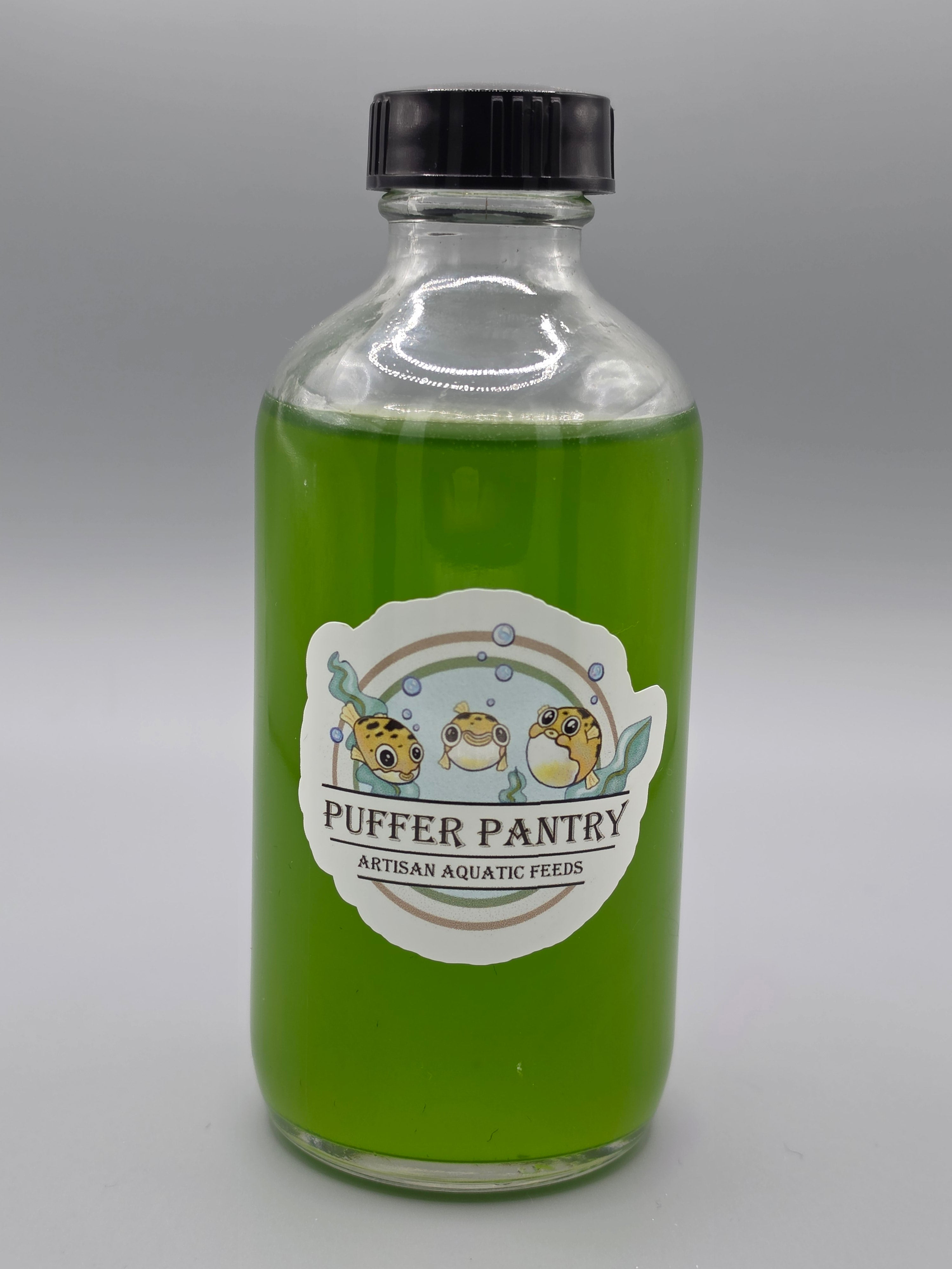 Chlorella Freshwater Microalgae - Live Green Water