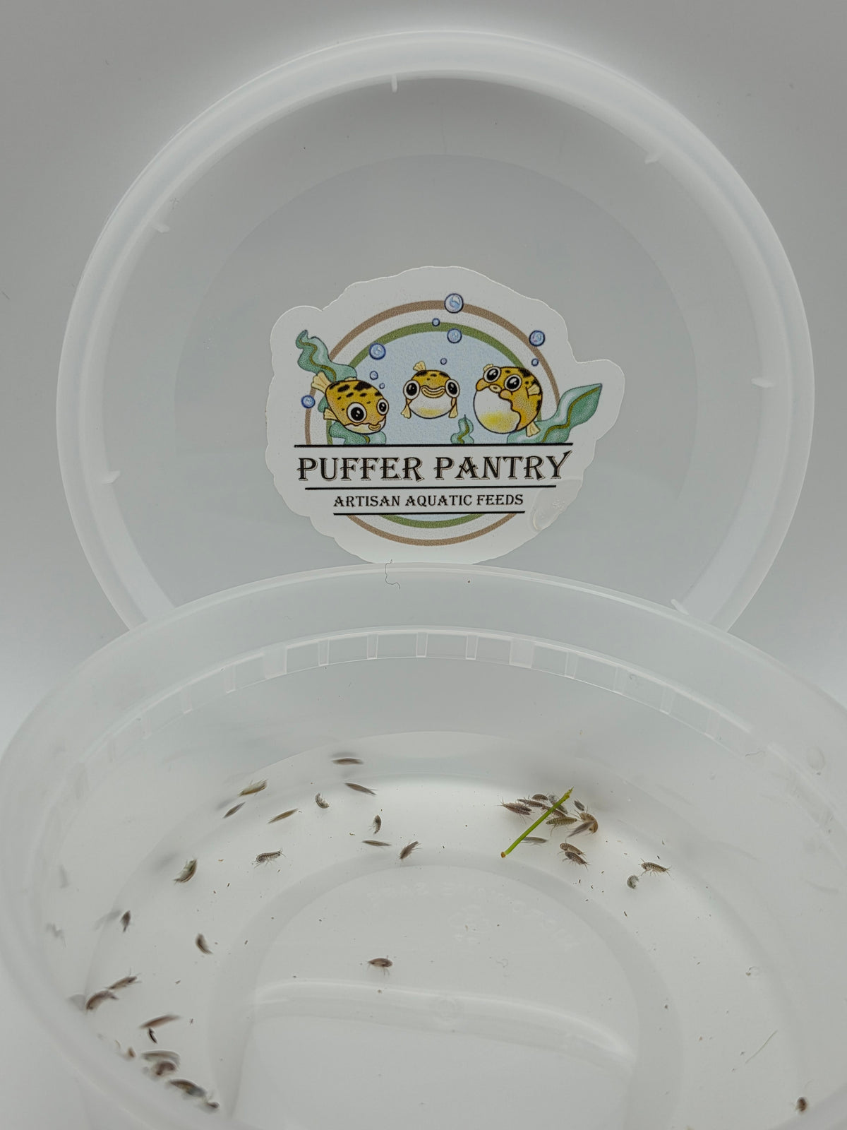 Live Scuds (Gammarus) - Fish Food & Clean Up Crew
