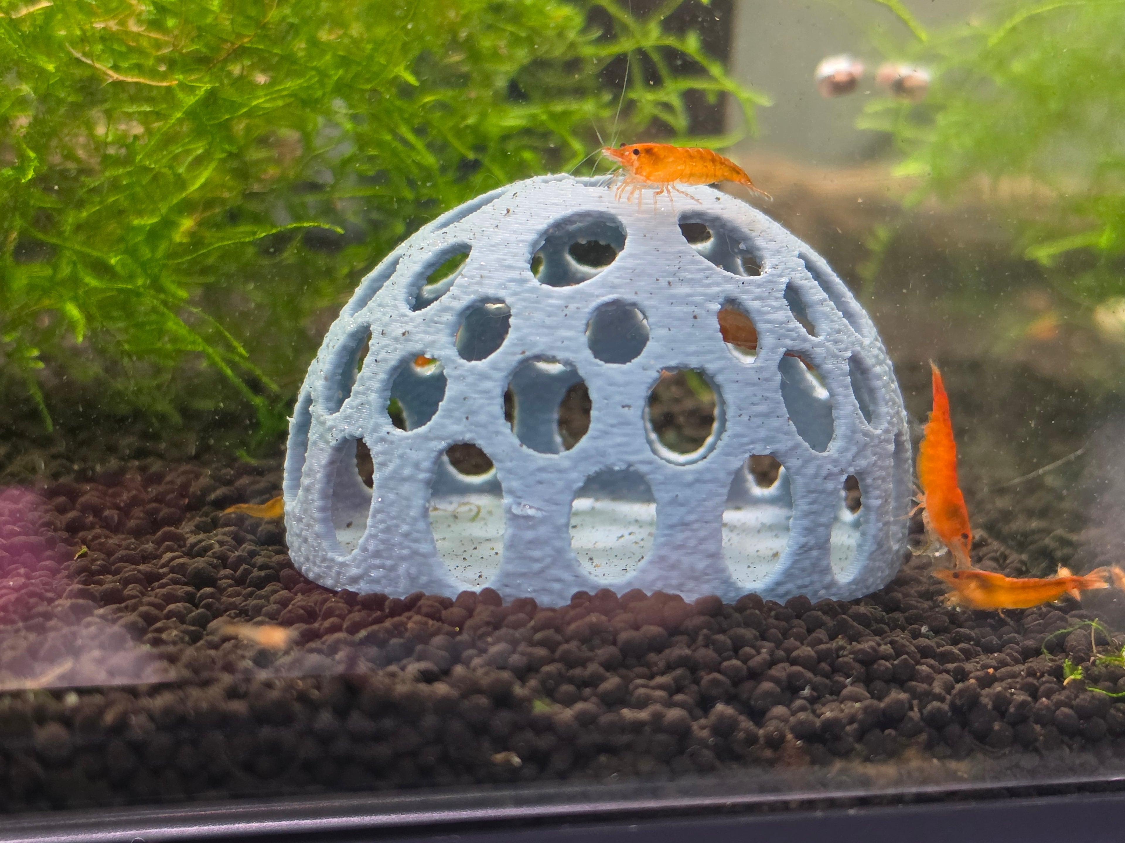 The Hideout Dome