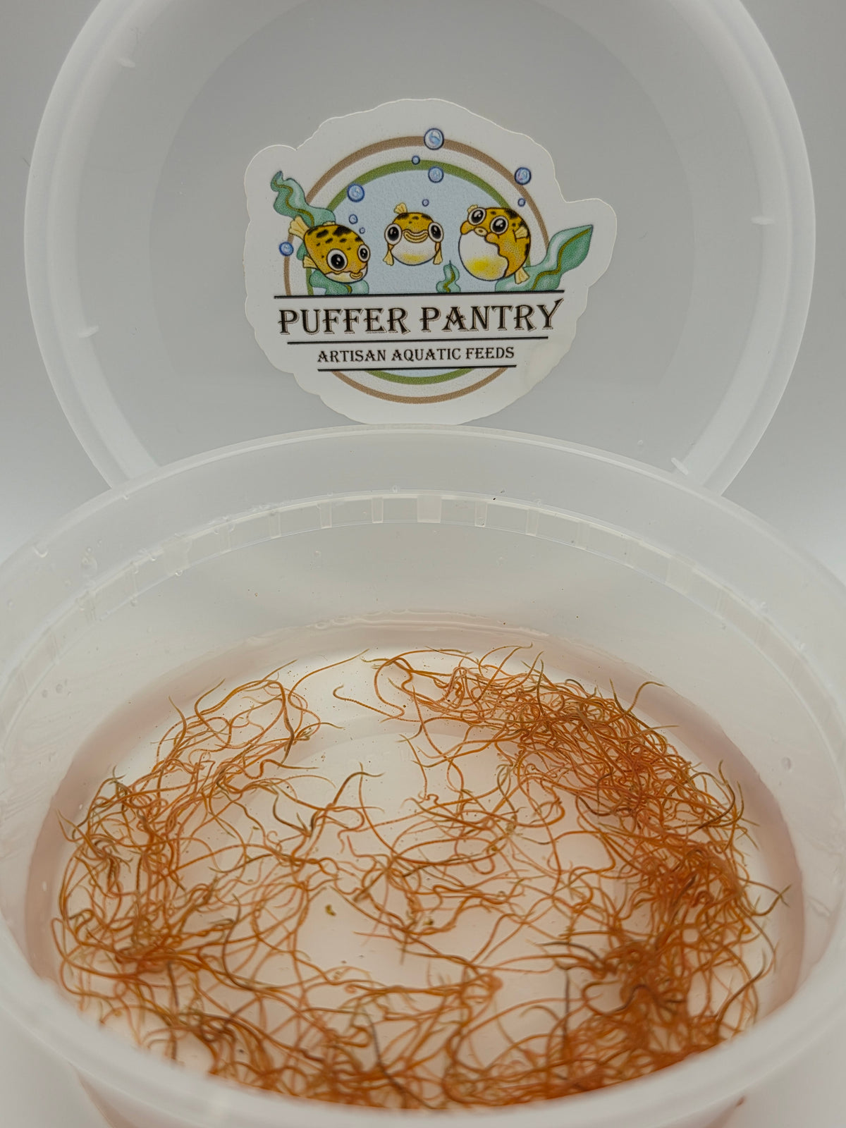 Live Blackworms - Fresh Aquatic Fish Food