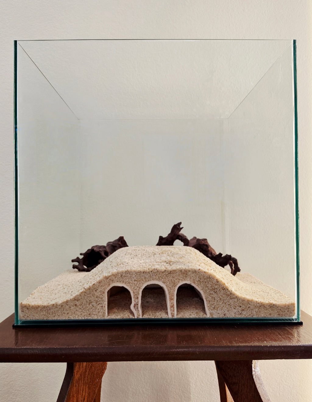 Cerberus Cave